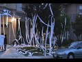 Treeview, TP'ing ED's House!
