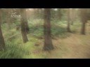 Mary Rose Trailer Mary Rose Trailer