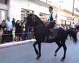 karabelas,horse,αλογο,markos,HORSE RIDING,OLYMPIA