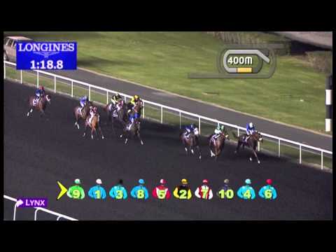 racing results cheltenham