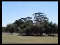 RC FEVER HX-240 Flying Video RC FEVER HX-240 Flying Video