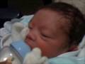videos de 17-12-08 1954