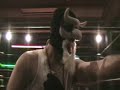 inter species wrestling   slamtasia   fan cam video!