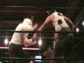 inter species wrestling   slamtasia   fan cam video!