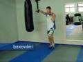 View Video