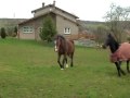 SDC14684.AVI