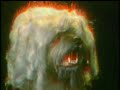 ballad_to_a_wigged_dog