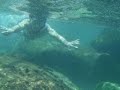 Pirate Beach: Mexico, Xel-ha, Ik-Kil Manele-Gratis.net