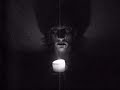 le snake boy, film d'animation aux effets sp�ciaux de tr�s bonne facture...