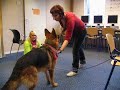 Landstede Raalte clickertraining 8 Landstede Raalte clickertraining 8