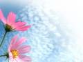 G線上のアリア