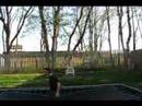 Alex Excess Footage on Trampoline