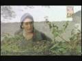 videos de Blue Moon WMV.wmv