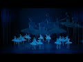 P.I.Tchaikowsky - Swanlake