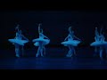 P.I.Tchaikowsky - Swanlake