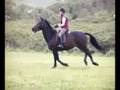 Cross Country jumping at home