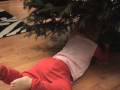 Carlysle helping with the tree part 2
