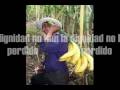 exodo campesino ely gerdler el monki exodo campesino ely gerdler el monki