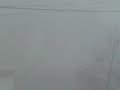 Fog
