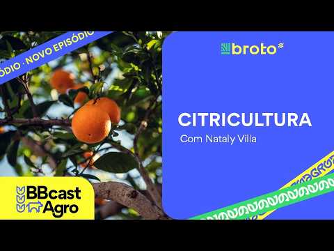 Citricultura: greening, exportações e desafios da safra 2026/27 | BBCast Agro - 12/05/2026