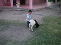 Huevito En Sinaloa