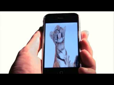 Enfin des vidéos dans mon iPhone avec des poils et tout et tout…