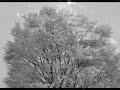 logpi/ つぶやき: 心はなれて http://bit.ly/wjOvr