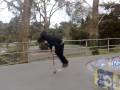 videos de 360 backflip on scooter luke  brown