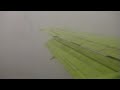 S7 airlines Boeing 737-500 landing in Moscow(DME)