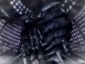 kiss&cry(final fantasy&kingdom heart).wmv
