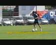 gerland hatem ben arfa