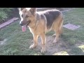 videos de Hoss