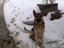 Ho impostato un video di YouTube come preferito -- Agriturismo Farneto http://youtu.be/Sfb6LrNFxMQ?a