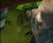 Shrek Minik �akirt www dokuz org