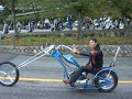 Japanese long fork chopper