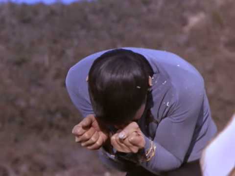Star Trek - A Kiss For Spock