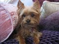 Phoebe Video - soo cute! Phoebe Video - soo cute!