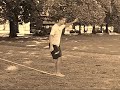 Gibbon Slacklining Clapham Common Sep07 Gibbon Slacklining Clapham Common Sep07