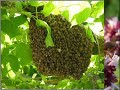 ilahiler - Minik Dualar Grubu-türkçe_ilahi