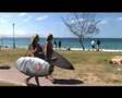 byron bay australia バイロンベイ