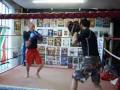 One Tribe Boxing Padwork