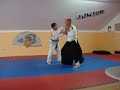 Realni Aikido