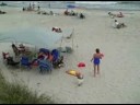 Pawley 1