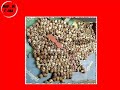 China's One World One Dream, Olympic Slogan, this translates to China's dream to invade the world and seek hegemony !