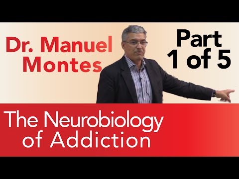 Dr. Montes: Neurobiology of Addiction Part 1 The Treatment Center