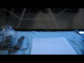 Panasonic KX TG1021C Unboxing