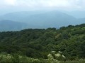 アカシアの雨がやむとき