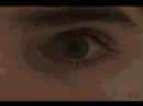 The Short Night Movie The Short Night Movie