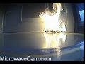 MicrowaveCam.com - Kona Coffee Foil Package (slow motion) MicrowaveCam.com - Kona Coffee Foil Package (slow motion)