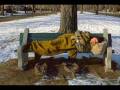 Welfare Dependency